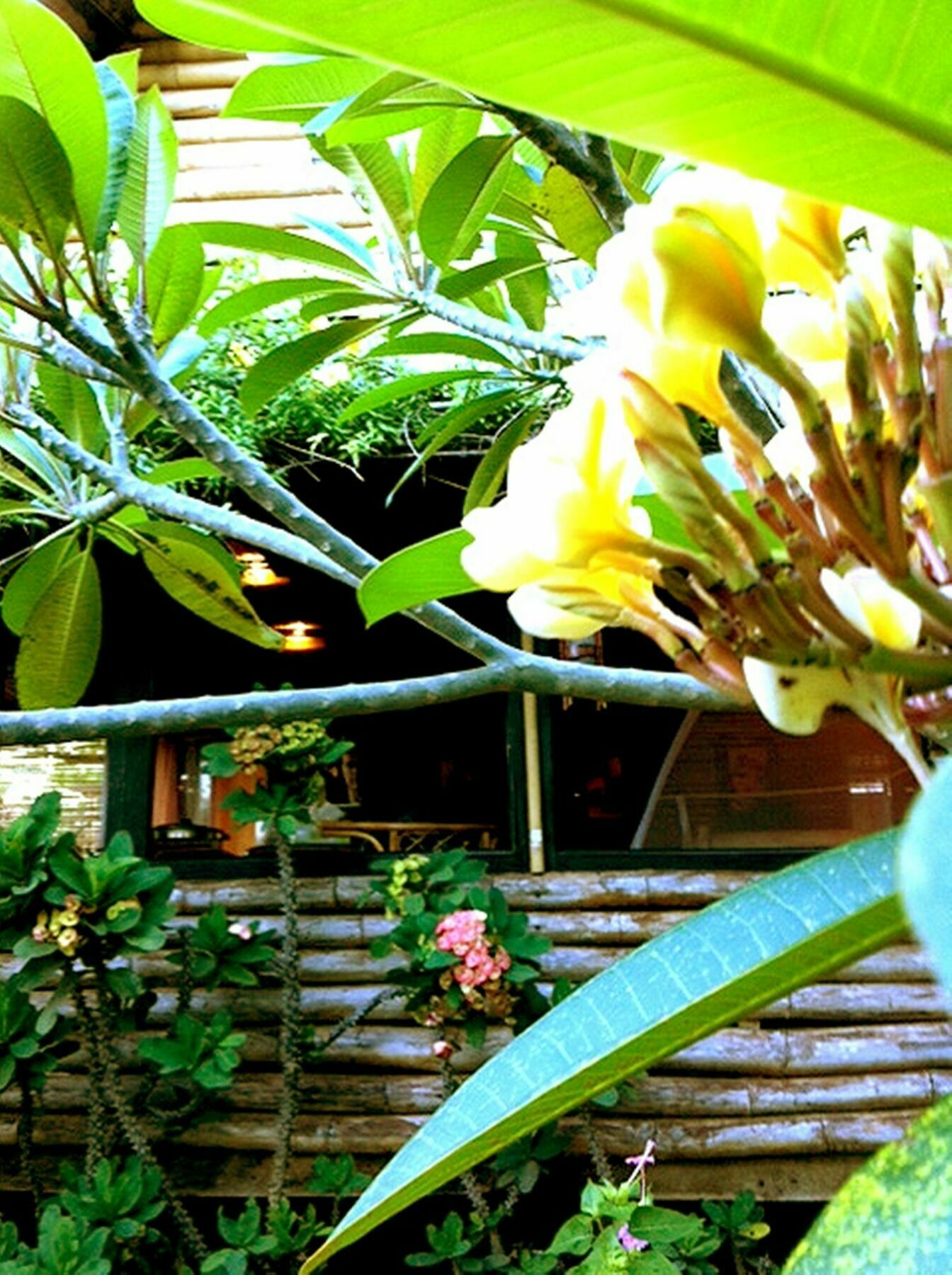 פורטו פרינססה The Village House מראה חיצוני תמונה